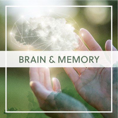 Brain & Memory