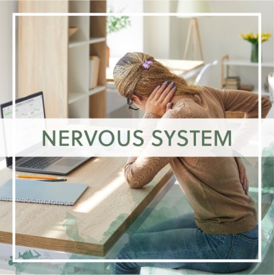 Nervous System