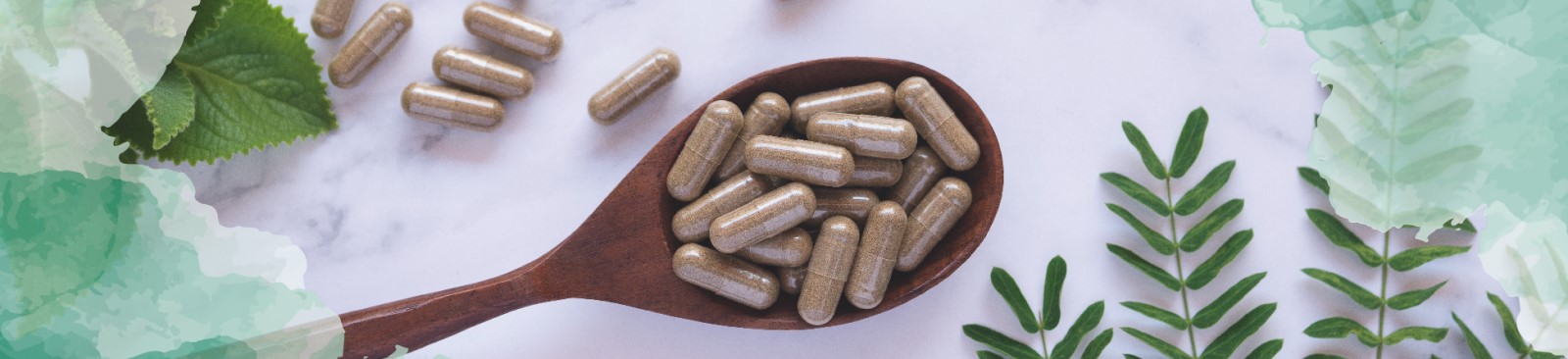 plant based supplement capsules