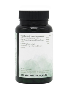 DMG-15 - 120 Vegan Capsules