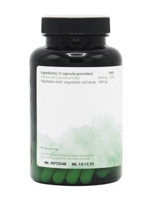 Vitamin B3 Nicotinamide 500mg - 120 Vegan Capsules